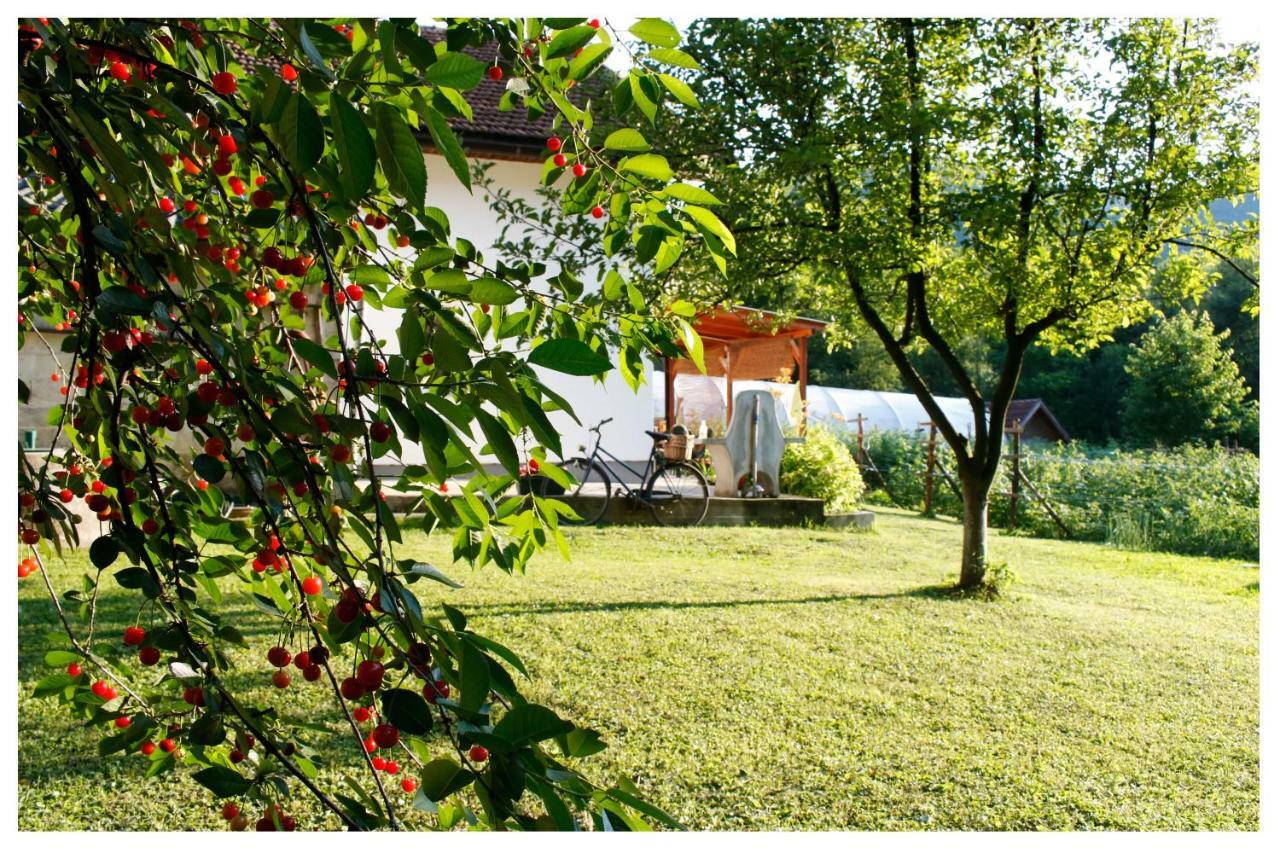 Holiday Residence Buric 维索科 外观 照片